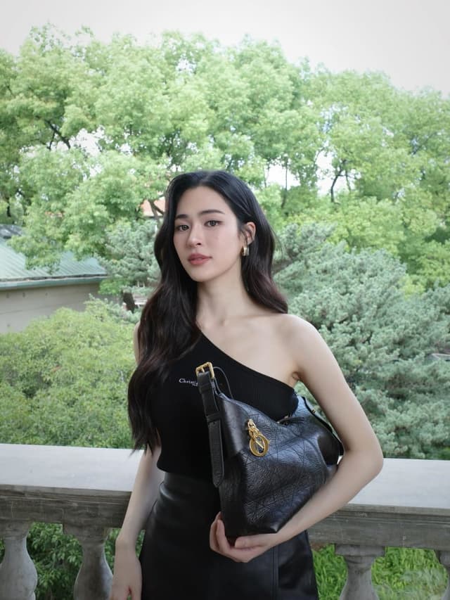 Dior - Dior Voyage Bag